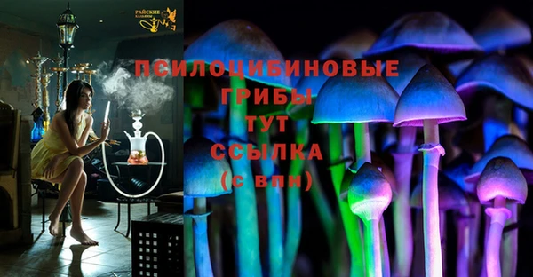 дмт Каменск-Шахтинский
