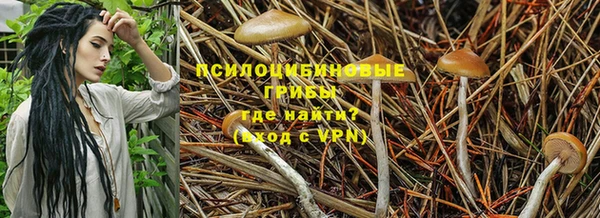 дмт Каменск-Шахтинский