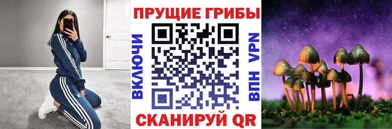 Псилоцибиновые грибы MAGIC MUSHROOMS  купить закладку  Самара 